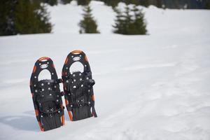 winter snowshoes view photo