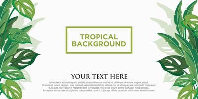 Tropical background vector and illustration. Foliage vector background for quotes