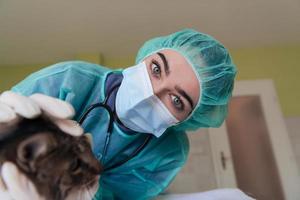 una doctora en el hospital de animales en la sala de cirugía lindo gato enfermo listo para examen y tratamiento veterinario foto