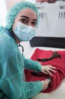 Veterinarian measuring the temperature of little kitten after sterilization surgery photo