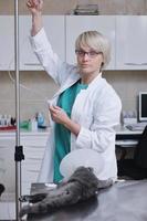 Female veterinary portrait photo