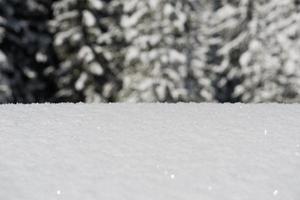 fondo de nieve de invierno foto