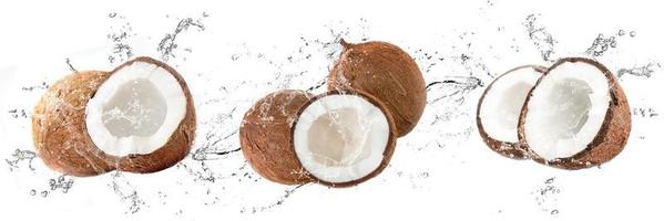 Fresh coconuts with water splash on isolated white background photo