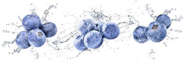 Fresh Blueberries with water splash on isolated white background photo