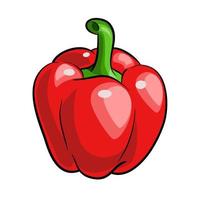 red bell pepper vegetable vector