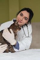 Veterinary clinic. Female doctor portrait at the animal hospital holding cute sick cat photo