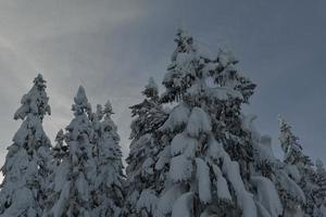 winter mountain landscape photo