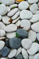 Tropical beach pebbles photo