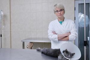 Female veterinary portrait photo