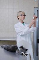 Female veterinary portrait photo