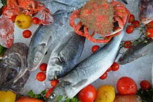 mariscos en hielo foto