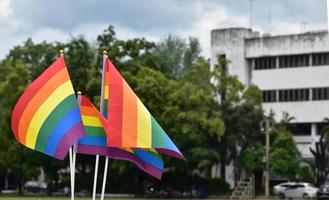 Rainbow flags, symbol of lgbt gender diversity, showing in front of grass court of school playground, blurred building background, concept for lgbt celebrations in pride month, june, over the world. photo