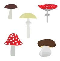 Set of mushrooms in cartoon style. Vector illustration isolated on white background.