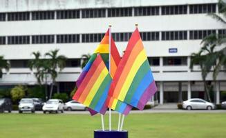 Rainbow flags, symbol of lgbt gender diversity, showing in front of grass court of school playground, blurred building background, concept for lgbt celebrations in pride month, june, over the world. photo