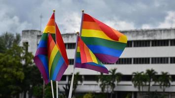 banderas del arco iris, símbolo de la diversidad de género lgbt, mostrándose frente a la cancha de césped del patio de la escuela, fondo de construcción borroso, concepto para celebraciones lgbt en el mes del orgullo, junio, en todo el mundo. foto