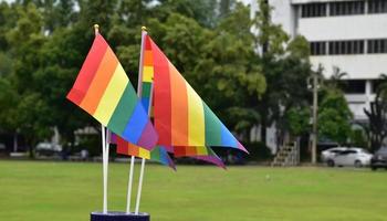 Rainbow flags, symbol of lgbt gender diversity, showing in front of grass court of school playground, blurred building background, concept for lgbt celebrations in pride month, june, over the world. photo