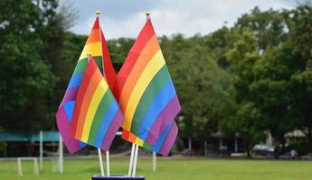 Rainbow flags, symbol of lgbt gender diversity, showing in front of grass court of school playground, blurred building background, concept for lgbt celebrations in pride month, june, over the world. photo