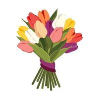 Bouquet of beautiful colorful tulips  isolated on white background. Lush bunch of flower buds with purple ribbon. Floral design for spring holidays, greeting cards. Flat vector illustration