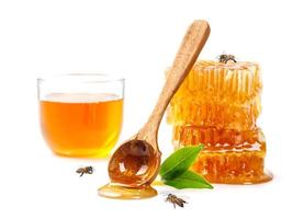 panal con abeja y cuchara de miel aislado sobre fondo de pancarta blanca, productos de abeja por concepto de ingredientes naturales orgánicos foto