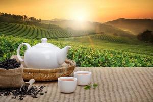 Warm cup of tea with teapot, green tea leaves and dried herbs on the bamboo mat at morning in plantations background with empty space, Organic product from the nature for healthy with traditional photo