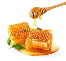 panal con abeja y cucharón de miel aislado sobre fondo de pancarta blanca, productos de abejas por concepto de ingredientes naturales orgánicos foto