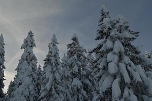 paisaje de montaña de invierno foto