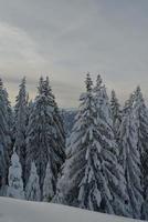 mountain winter landscape photo