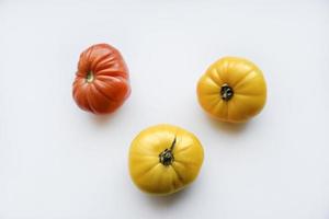 Yellow green and red tomatoes on a white background. Beautiful multicolored tomatoes close-up. photo