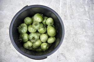 Beautiful green tomatoes in a black bucket in the afternoon on a gray background. Harvesting green tomatoes in the summer garden. photo