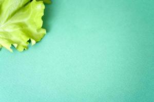 Lettuce leaf on green background with space for text. photo