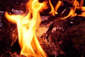 red fire burning wood photo
