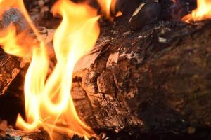 red fire burning wood photo