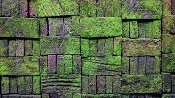 Pile of bricks covered with thick green moss photo