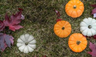 Festive autumn decor from pumpkins, pine and leaves on a  wooden background. Concept of Thanksgiving day or Halloween. Flat lay autumn composition with copy space. photo