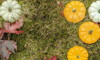 Festive autumn decor from pumpkins, pine and leaves on a  wooden background. Concept of Thanksgiving day or Halloween. Flat lay autumn composition with copy space. photo