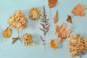 Autumn composition. Cup of coffee, autumn leaves , cinnamon sticks and anise stars on Bright Blue pastel  background. Flat lay, top view copy space. photo