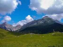 beautiful nature scenery at kallbrunn alm, austria photo