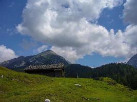 beautiful nature scenery at kallbrunn alm with cows, austria photo