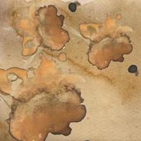 Coffee Stain on Vintage Backgrounds photo