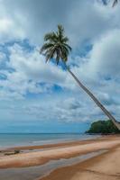 Coconut palm tree on beautiful beach and sea in the morning with rain cloud on Thailand. photo