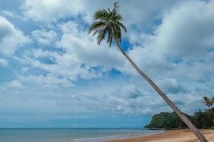 palmera de coco en la hermosa playa y el mar en la mañana con nubes de lluvia en tailandia. foto