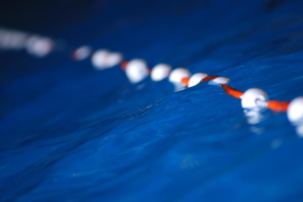 Swim Lane Stock Photos, Images and Backgrounds for Free Download