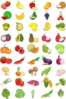 conjunto de frutas y verduras. vector