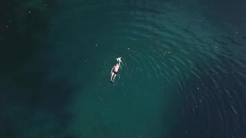 Person swims in calm waters seen from above