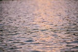 triathlon athlete swimming on lake in sunrise  wearing wetsuit photo