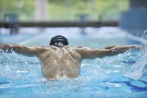 Swimmer in pool photo