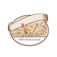 gallina corriendo campo abierto huevos dibujo ovalado vector