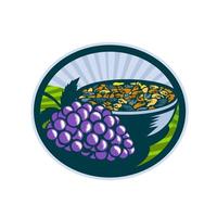 Grapes Raisins Bowl Oval Woodcut vector