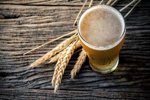 Glasses of light beer with barley on wooden table. Two glass of beer with wheat on wooden table. Vintage style color effect photo