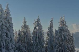 paisaje de montaña de invierno foto